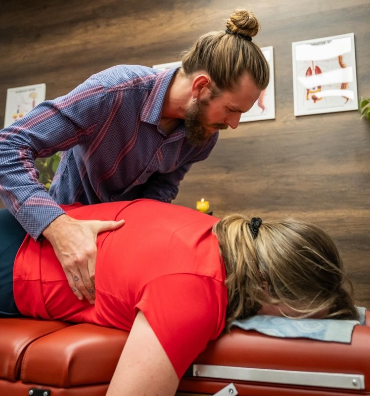 Chiropractic | Nervous System | Holistic Health | Spinal Function | Healing | Education | Wellness